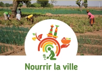 progetto nutrire la città burkina faso