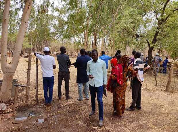 burkina faso formazione coltivazione agricola